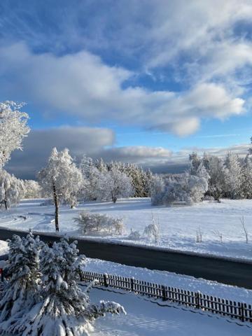 Ferienwohnung Harzblick 4 Braunlage Dış mekan fotoğraf